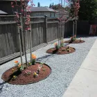 Business 11 image CURT'S SERVICES Real Estate & Home Improvement in Victoria BC