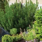 Business 13 image CURT'S SERVICES Real Estate & Home Improvement in Victoria BC