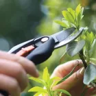 Business 15 image CURT'S SERVICES Real Estate & Home Improvement in Victoria BC