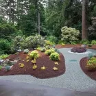 Business 37 image CURT'S SERVICES Real Estate & Home Improvement in Victoria BC