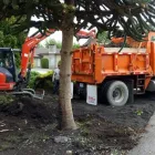 Business 2 image D & D WORKZ LTD Real Estate & Home Improvement in Delta BC