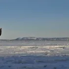 Business 3 image D.S. MCCULLOUGH REALTY LTD., BROKERAGE Real Estate Agents in Thunder Bay ON