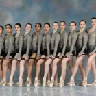 Business 6 image DANSECORE Education in Richmond Hill ON