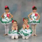 Business 7 image DANSECORE Education in Richmond Hill ON