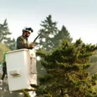 Entreprises 1 image DAVEY TREE EXPERT CO OF CANADA LIMITED Tree Work & Forestry Services dans Vancouver BC