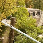 Entreprises 4 image DAVEY TREE EXPERT CO OF CANADA LIMITED Tree Work & Forestry Services dans Vancouver BC