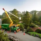 Entreprises 5 image DAVEY TREE EXPERT CO OF CANADA LIMITED Tree Work & Forestry Services dans Vancouver BC