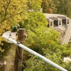 Business 6 image DAVEY TREE EXPERT CO OF CANADA LIMITED Tree Work & Forestry Services in Maple ON