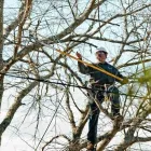 Business 6 image DAVEY TREE EXPERT CO OF CANADA LIMITED Tree Work & Forestry Services in Hamilton ON