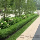 Entreprises 11 image DAVID GAZE LANDSCAPING INCORPORATED Real Estate & Home Improvement dans Oakville ON