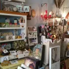 Entreprises 4 image DECORIUM C SHELLS Shopping dans Windsor ON