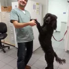 Business 5 image DELBROOK MALL ANIMAL HOSPITAL Veterinarians in North Vancouver BC