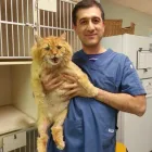 Business 7 image DELBROOK MALL ANIMAL HOSPITAL Veterinarians in North Vancouver BC