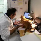 Business 1 image DELBROOK MALL ANIMAL HOSPITAL Veterinarians in North Vancouver BC