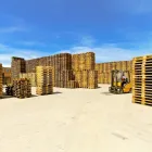 Business 5 image DELTA PALLET INC Industries & Agriculture in Delta BC