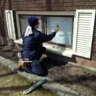Business 3 image DIAMOND WINDOW CLEANING Window Cleaners in Belleville ON