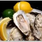 Business 1 image DIANA'S OYSTER BAR & GRILL Seafood Restaurants in Toronto ON