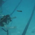 Entreprises 11 image DIVE WORLD Sports & Recreation dans Toronto ON