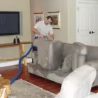 Business 6 image DIXONS CARPET & UPHOLSTERY CLEANING Shopping in Belleville ON