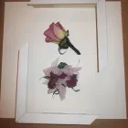 Entreprises 5 image DO-IT-YOURSELF FRAMING Picture Framing Services dans Winnipeg MB