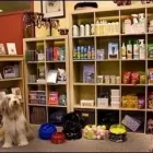 Business 3 image DOGSMART TRAINING & DAYCARE Pet Training in Vancouver BC