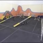 Business 2 image DOGSMART TRAINING & DAYCARE Pet Training in Vancouver BC