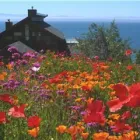 Business 3 image DONALD ST GERMAIN Real Estate Agents in Victoria BC