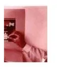 Business 12 image DONOVAN SALES LTD Shopping in Vancouver BC