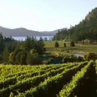 Business 25 image DOUBLETREE BY HILTON HOTEL & SUITES VICTORIA travel & tourism in Victoria BC