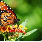 Business 62 image DOUBLETREE BY HILTON HOTEL & SUITES VICTORIA travel & tourism in Victoria BC