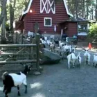 Business 80 image DOUBLETREE BY HILTON HOTEL & SUITES VICTORIA travel & tourism in Victoria BC