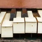 Entreprises 1 image DR. ELSTON WONG DENTISTRY Health & Medicine dans Barrie ON