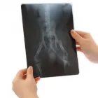 Entreprises 4 image DR R H GALLOWAY Veterinarians dans Richmond BC