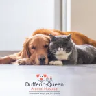 Entreprises 6 image DUFFERIN QUEEN ANIMAL HOSPITAL Veterinarians dans Toronto ON