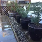 Business 14 image DUNBAR LAWNS AND GARDENS LTD. Real Estate & Home Improvement in Vancouver BC