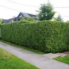 Business 22 image DUNBAR LAWNS AND GARDENS LTD. Real Estate & Home Improvement in Vancouver BC