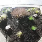 Business 3 image DUNBAR LAWNS AND GARDENS LTD. Real Estate & Home Improvement in Vancouver BC