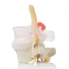 Entreprises 1 image DYNAMIC DISC DESIGNS Home Health Care Services dans Nanaimo BC