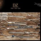 Business 2 image DZ HAIR SALON & SPA Hair Salons in Burnaby BC