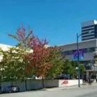 Business 2 image EASY INSURANCE Legal & Financial Services in Vancouver BC