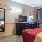 Entreprises 13 image ECONO LODGE DOWNTOWN travel & tourism dans Ottawa ON