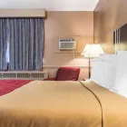 Entreprises 8 image ECONO LODGE DOWNTOWN travel & tourism dans Ottawa ON