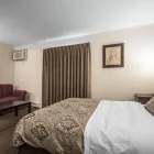Business 4 image ECONO LODGE travel & tourism in Vernon BC