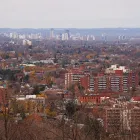 Business 10 image ED DUNN JR Real Estate Agents in Hamilton ON