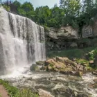 Business 44 image ED DUNN JR Real Estate Agents in Hamilton ON