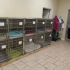 Entreprises 1 image EDMONTON SPAY AND NEUTER CLINIC Veterinarians dans Edmonton AB