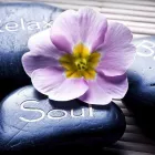 Entreprises 10 image EDWARD'S & HOLLOWAY HEALTH & WELLNESS CENTRE Massage Therapists dans Red Deer AB