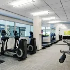 Business 30 image ELEMENT VAUGHAN SOUTHWEST travel & tourism in Vaughan ON