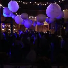 Business 22 image ELITE BEAT PRODUCTIONS DJ Service in Belleville ON