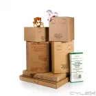 Entreprises 4 image EMBALLAGES ECO 1 PACKAGING Shopping dans Saint-hubert QC